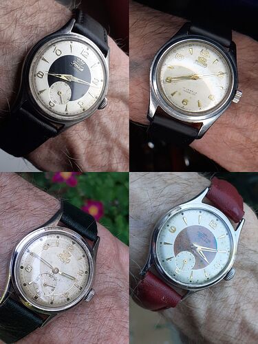 Fortis Vintage
