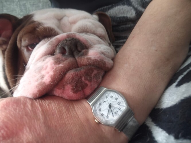 IMG_20260107_140536514_HDR