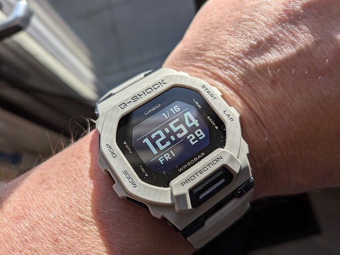 PXL_20260116_115431917.MACRO_FOCUS