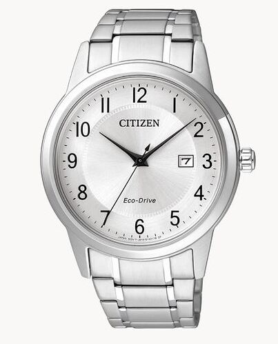 Citizen 1231