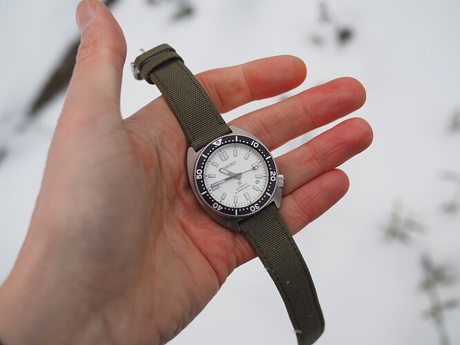Seiko Slim Turtle SPB313 (23)