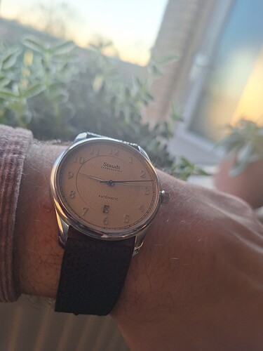 17666504226022615004061935819656