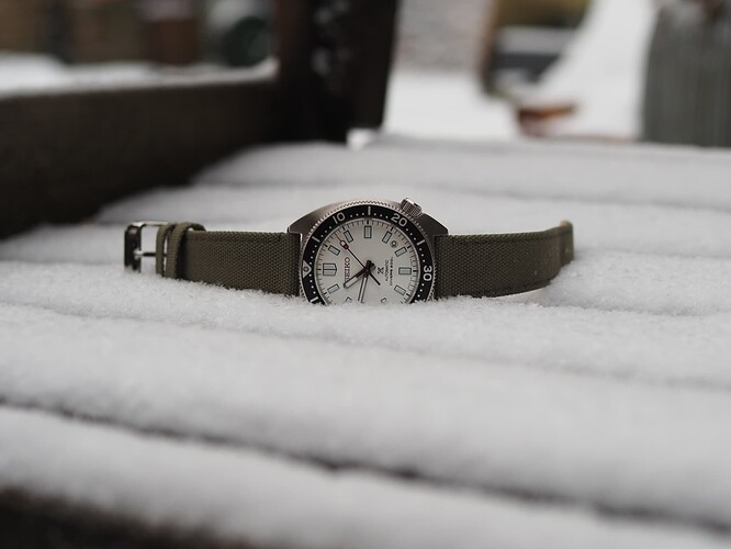 Seiko Slim Turtle SPB313 (20)