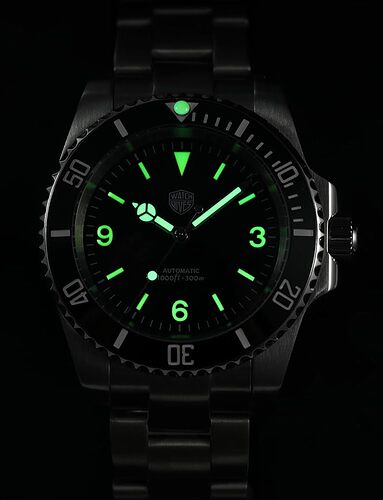 51s77N3JcsL.AC_UY1000