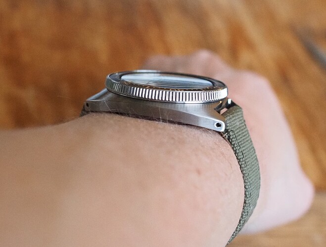 Seiko Slim Turtle SPB313 (5)