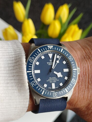 1773673358287758196505369067627