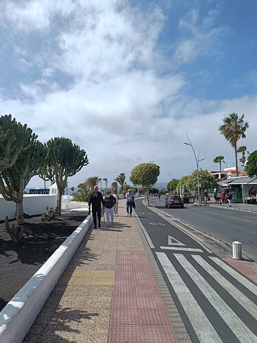IMG20250308125149