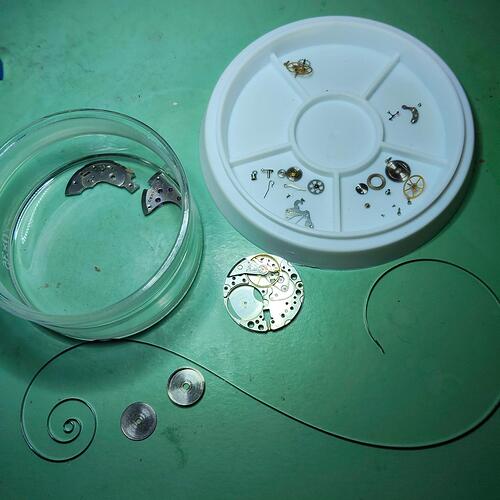 IMG20260415190306  4