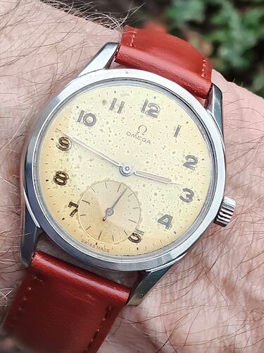 IMG20251205144655    1