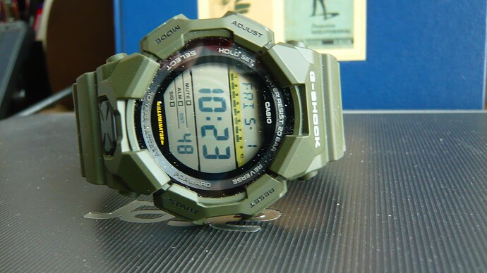 P1100028