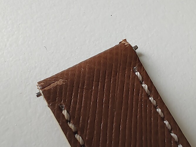 IMG_20260219_131430657_MP~2