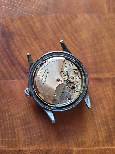 WhatsApp Image 2026-04-14 at 14.02.18