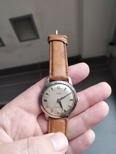 IMG_20251115_135949337