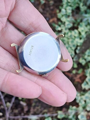 IMG20260304150035  9