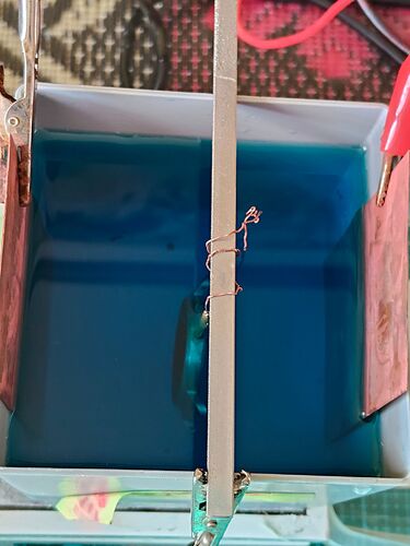 IMG20260303133233   5