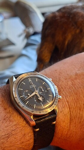 17614069203376517889578615910730