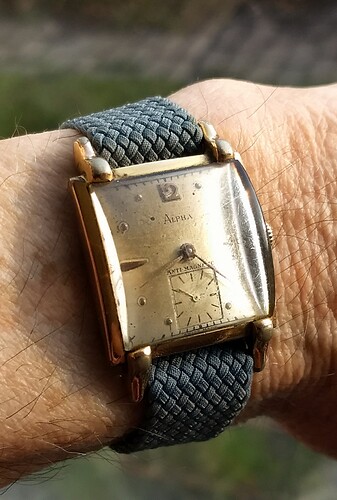 IMG_20260319_081744089~2