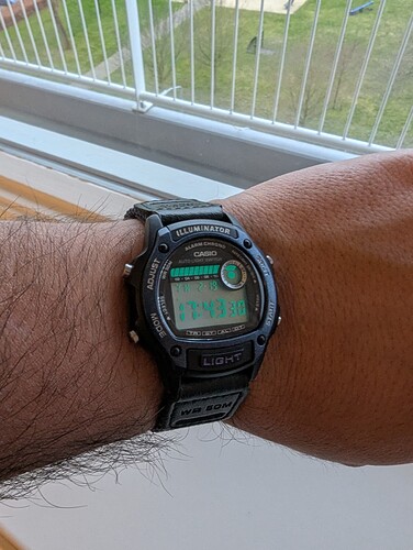 PXL_20260219_164331784.MP