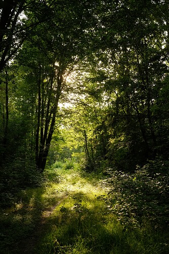 DSCF0070