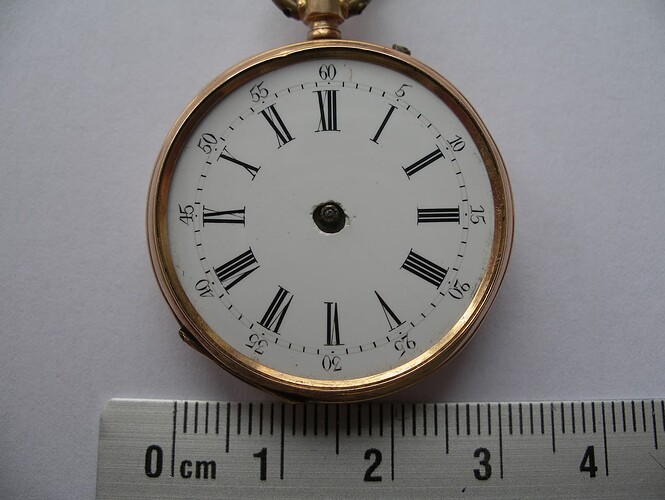 Vacheron 18k (2)