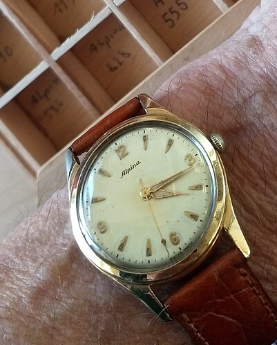 IMG_20251117_161956269~2