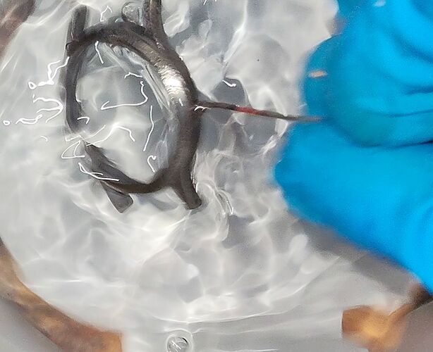 IMG20251207185254   2