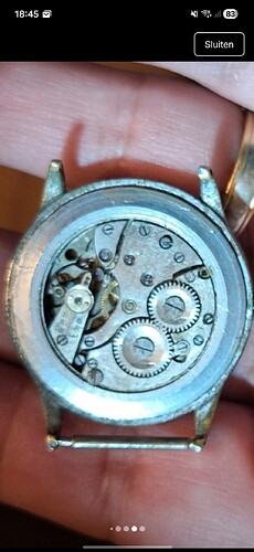 Screenshot_20260330_184521_Vinted