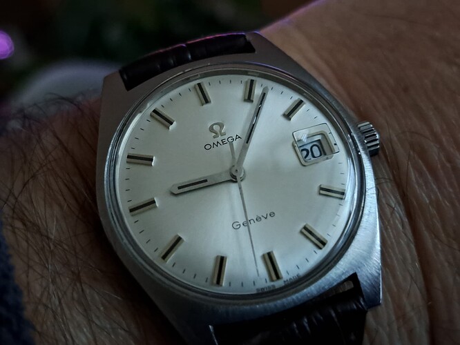 17636260482531113316346650588675