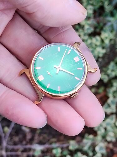 IMG20260304150049   10