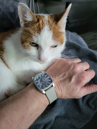 17586253074151015088415589558941