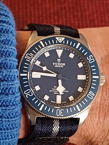 17732475186441309155601139208431