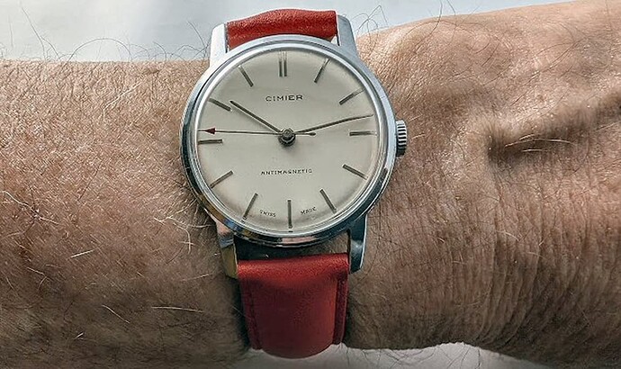 Penanker horloges - De Assepoesters uit de wereld van een horlogeverzamelaar.
