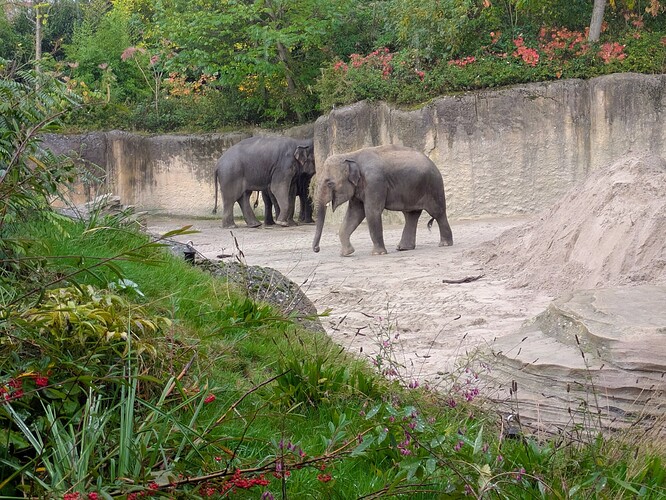 PXL_20251021_082714740.MP~2