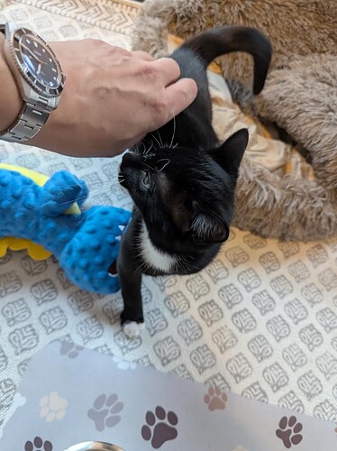 WhatsApp Image 2026-01-06 at 12.36.43