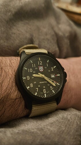 17646205155616934646396621276860