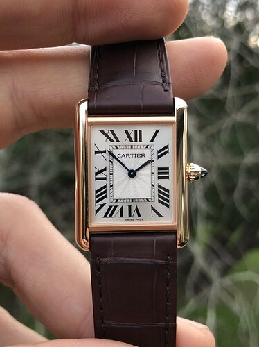 Cartier_Tank_Louis_Cartier_Rose_Gold_WGTA0011_-_2020_Watch_Vault_02_2048x