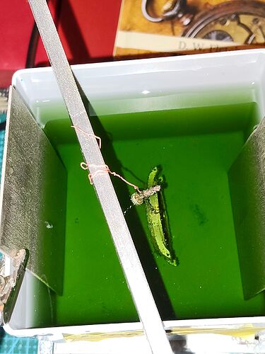 IMG20260105174259   nikkelbad