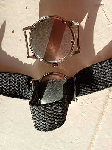 WhatsApp Image 2025-12-31 at 11.07.32