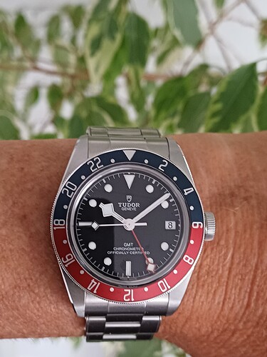 1780906095395580097312815454743