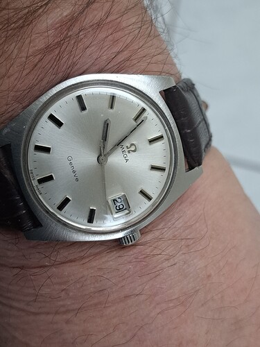 17669985882648497203112931310781