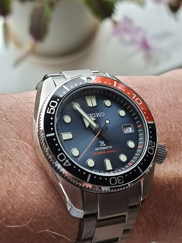 17650148451667664676904292492956