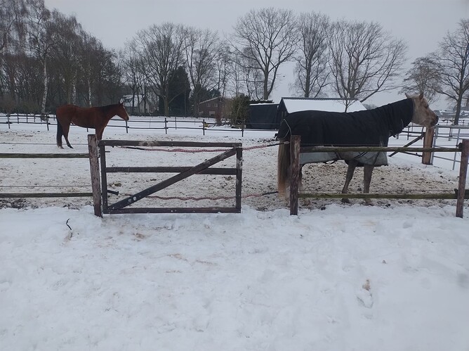 IMG_20260108_161956872