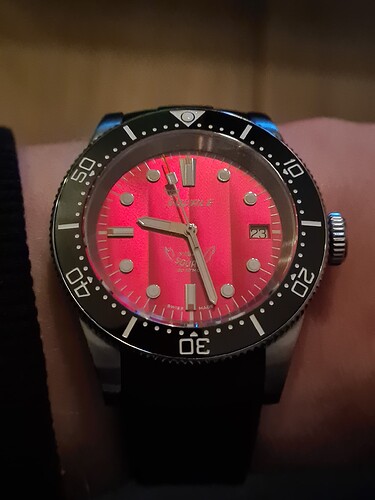 17639295113263547620435967059085