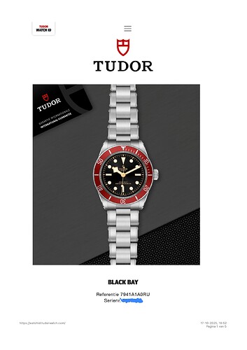 Tudor WATCH ID - 1