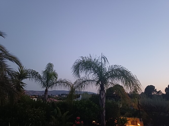 20250722_214431