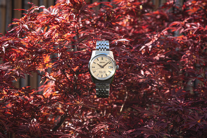 20250508 King Seiko SDKS015 Non Faded BG