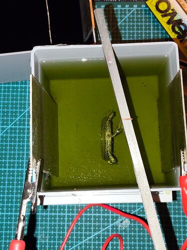 IMG20251203190646   1