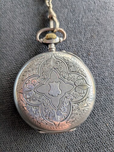 PXL_20260308_114255309.MACRO_FOCUS