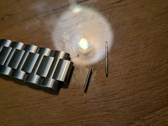 PXL_20251125_180522996.MACRO_FOCUS