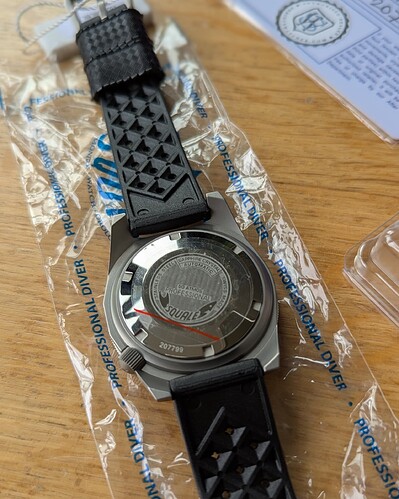 Squale6